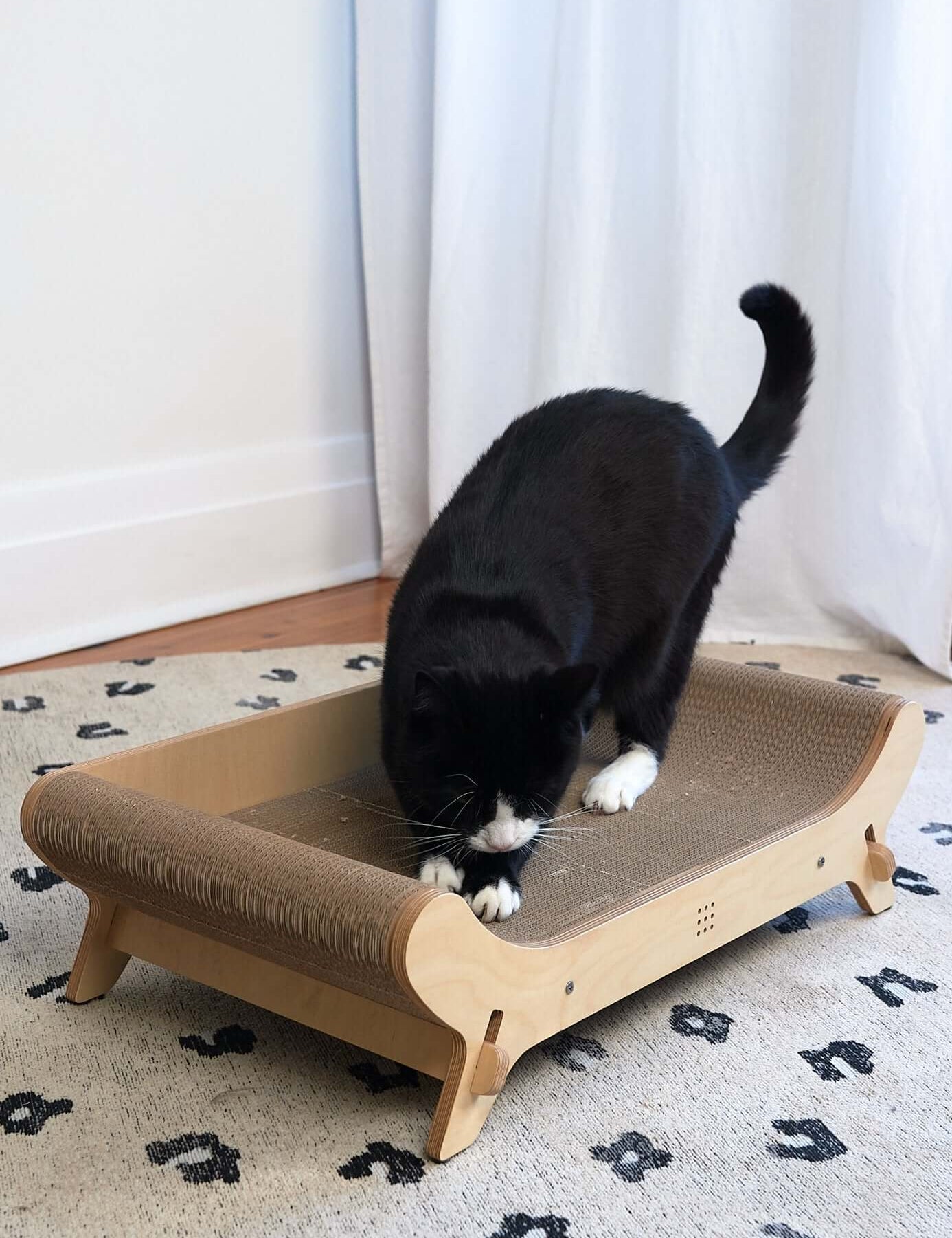 cat scratcher