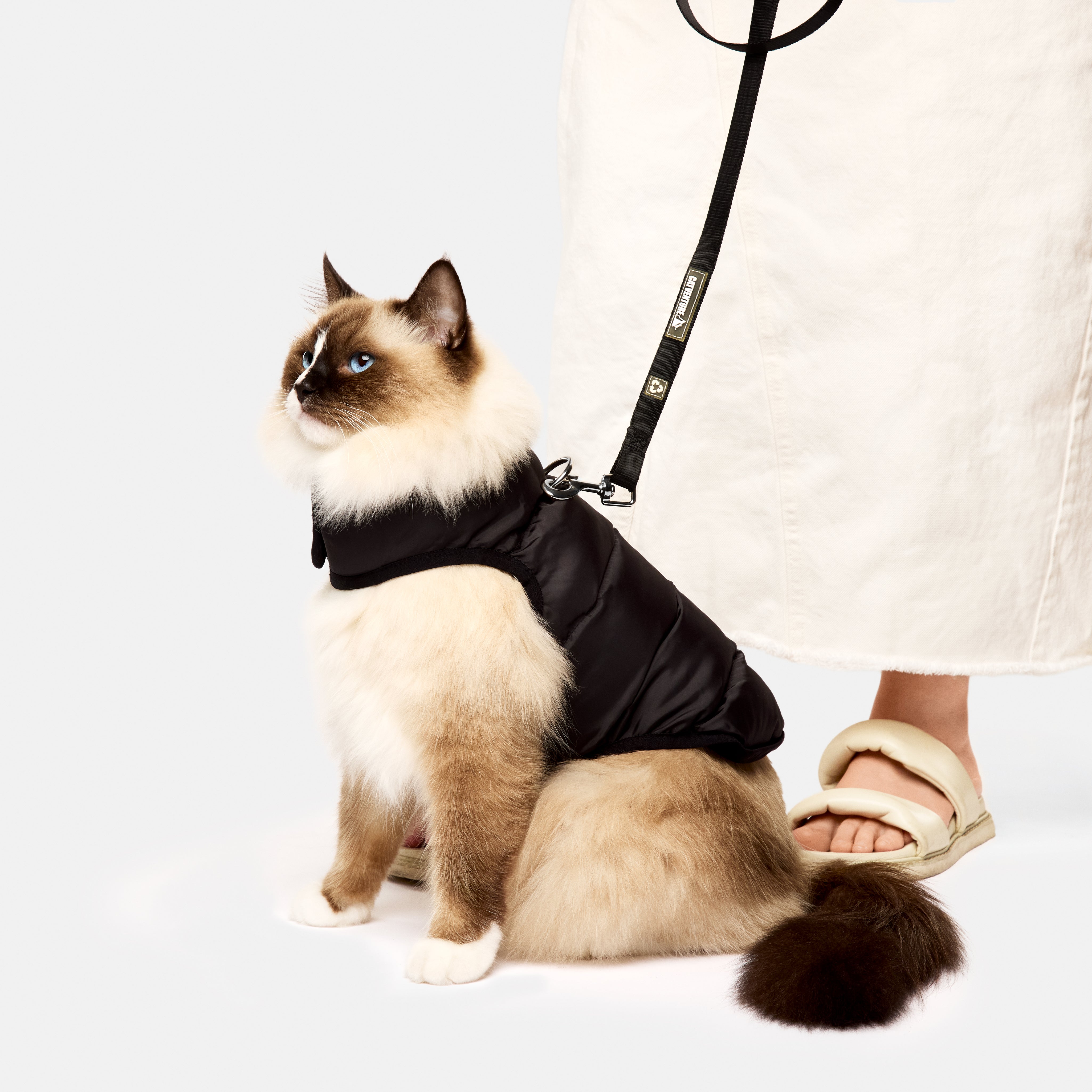 Cat Puffer Jacket by Catventure - Black