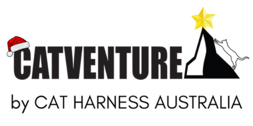 Logo of CATVENTURE by CAT HARNESS AUSTRALIA with a cat on a mountain and a star.