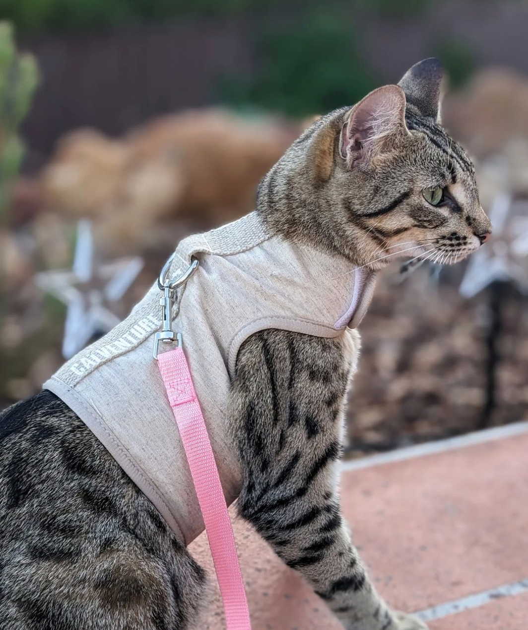 Catventure - Escape Proof Cat Harness - Natural