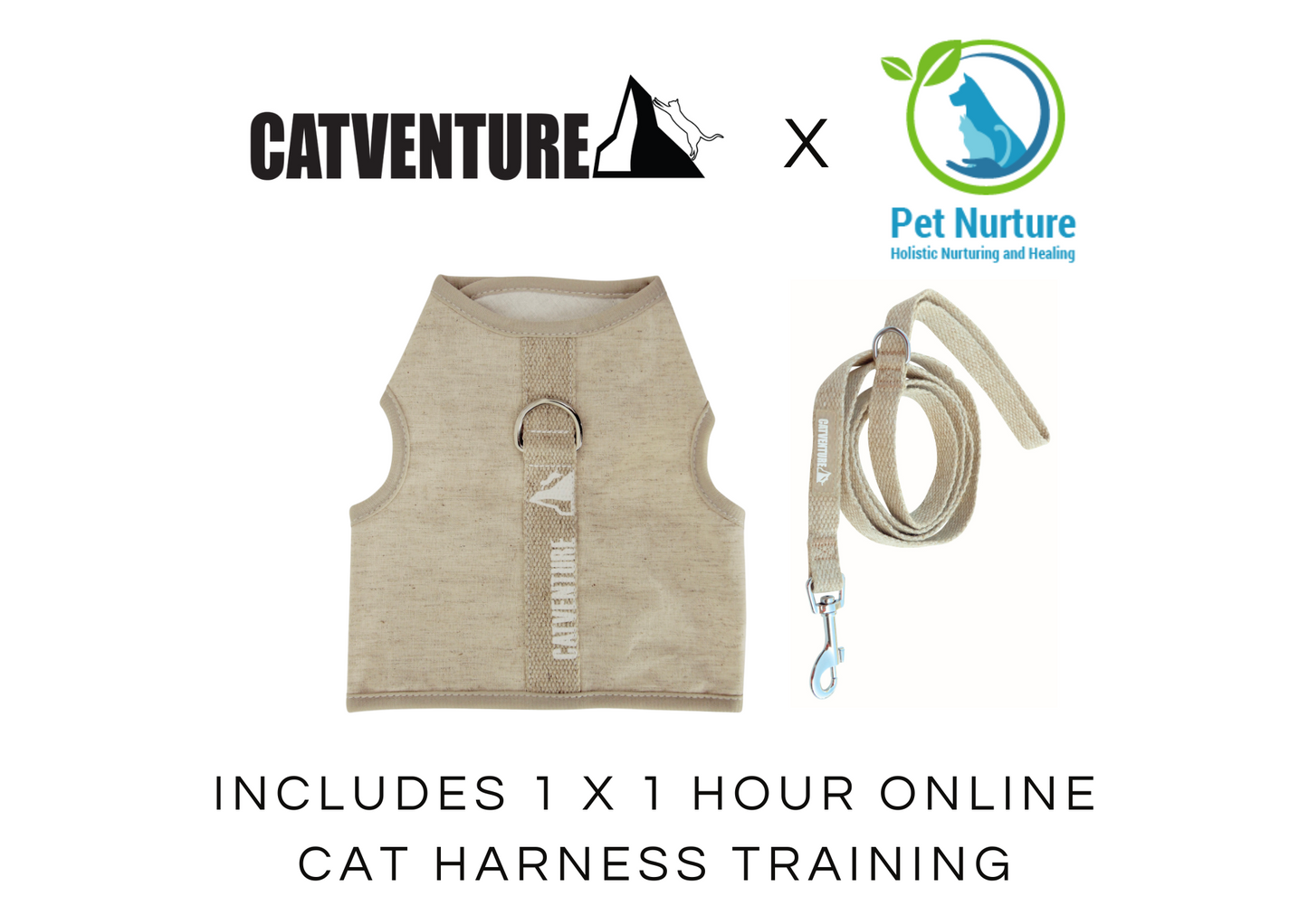 Cat Harness Training Bundle
