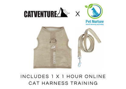 Cat Harness Training Bundle