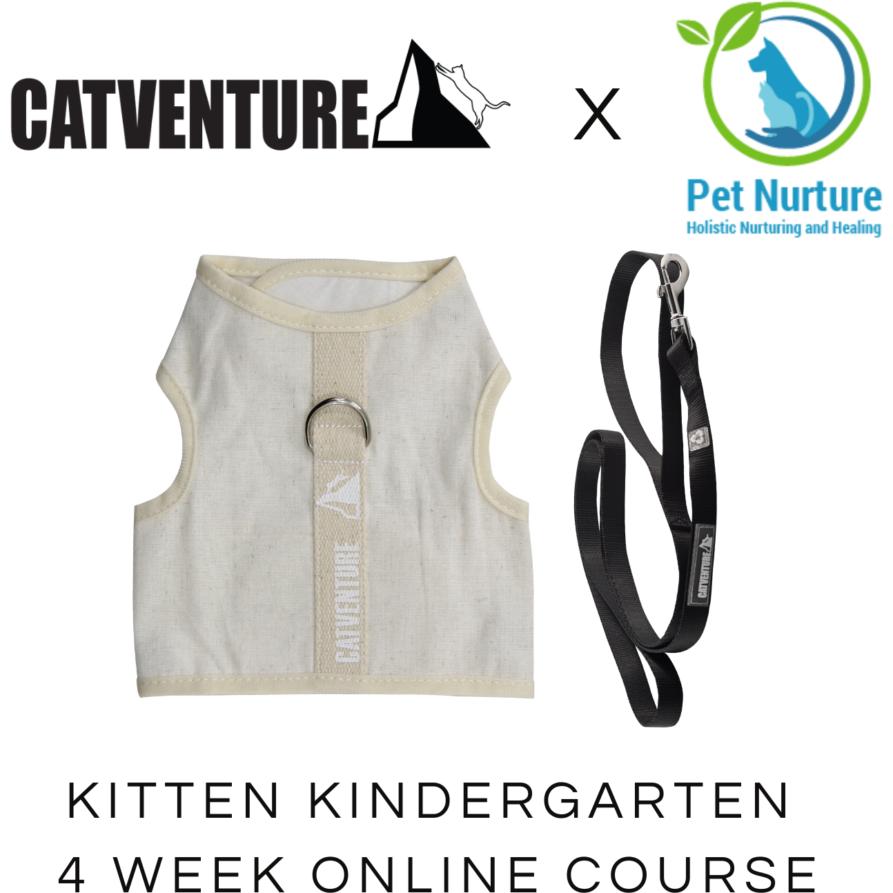 Natural Catventure escape proof kitten harness and black cat leash with Pet Nurture Kitten Kindergarten Bundle
