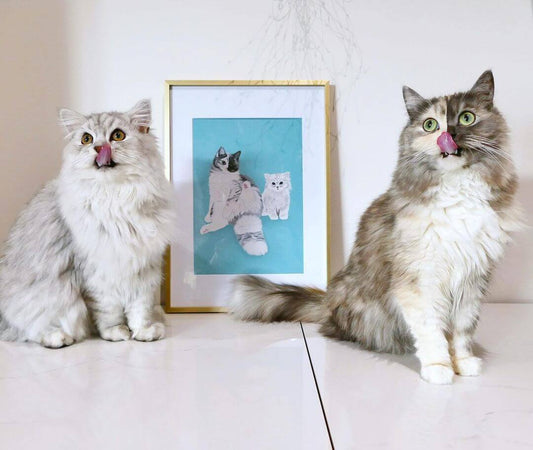 @geri.cat & Taiga the two face ragdoll adventure cats standing next to portrait of themselves