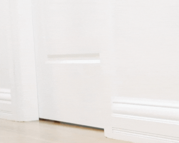 New Cat Owner Checklist: Everything You Need For A Happy, Enriched Indoor Cat