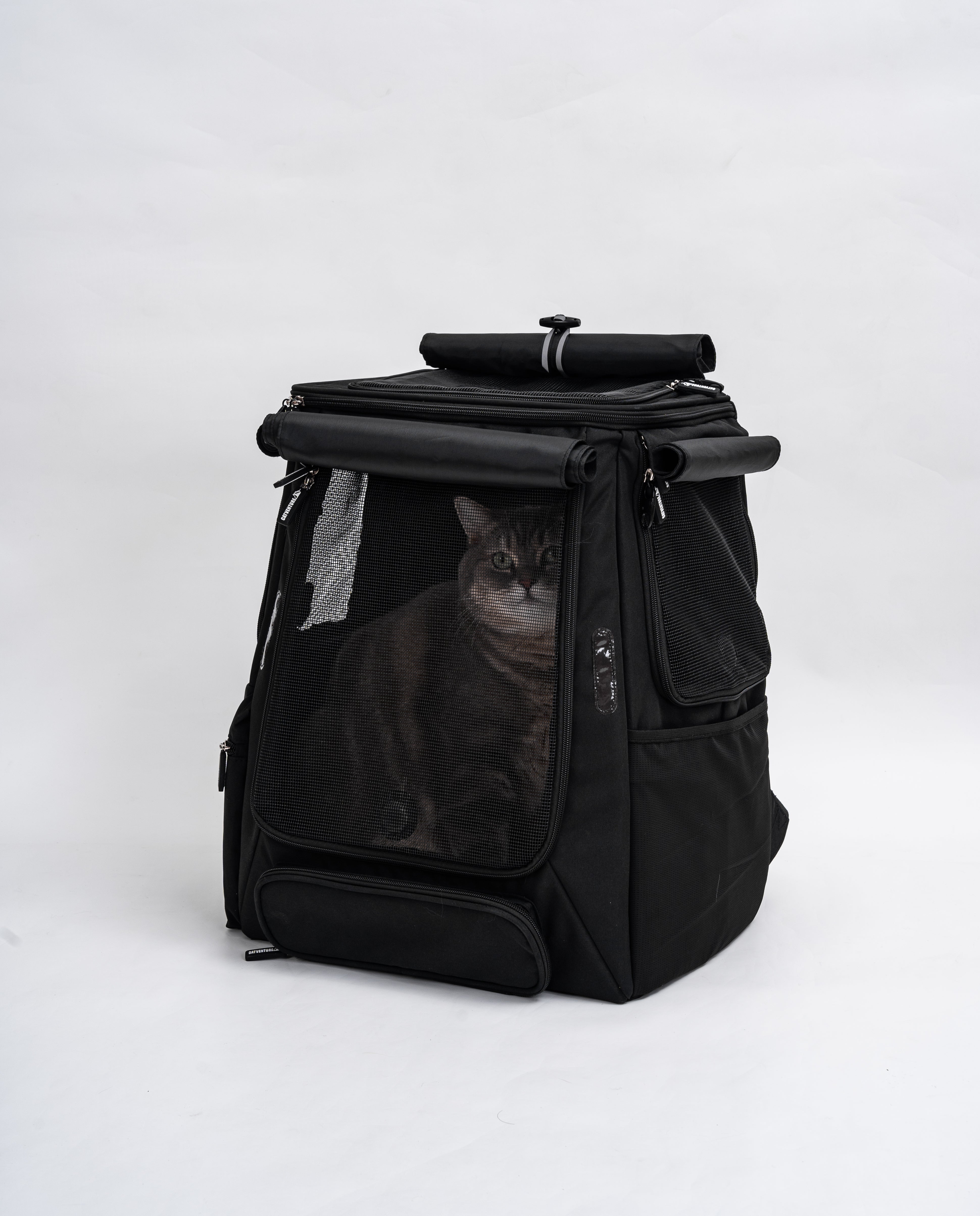 How to Introduce Your Cat to a Backpack (Without Stress)