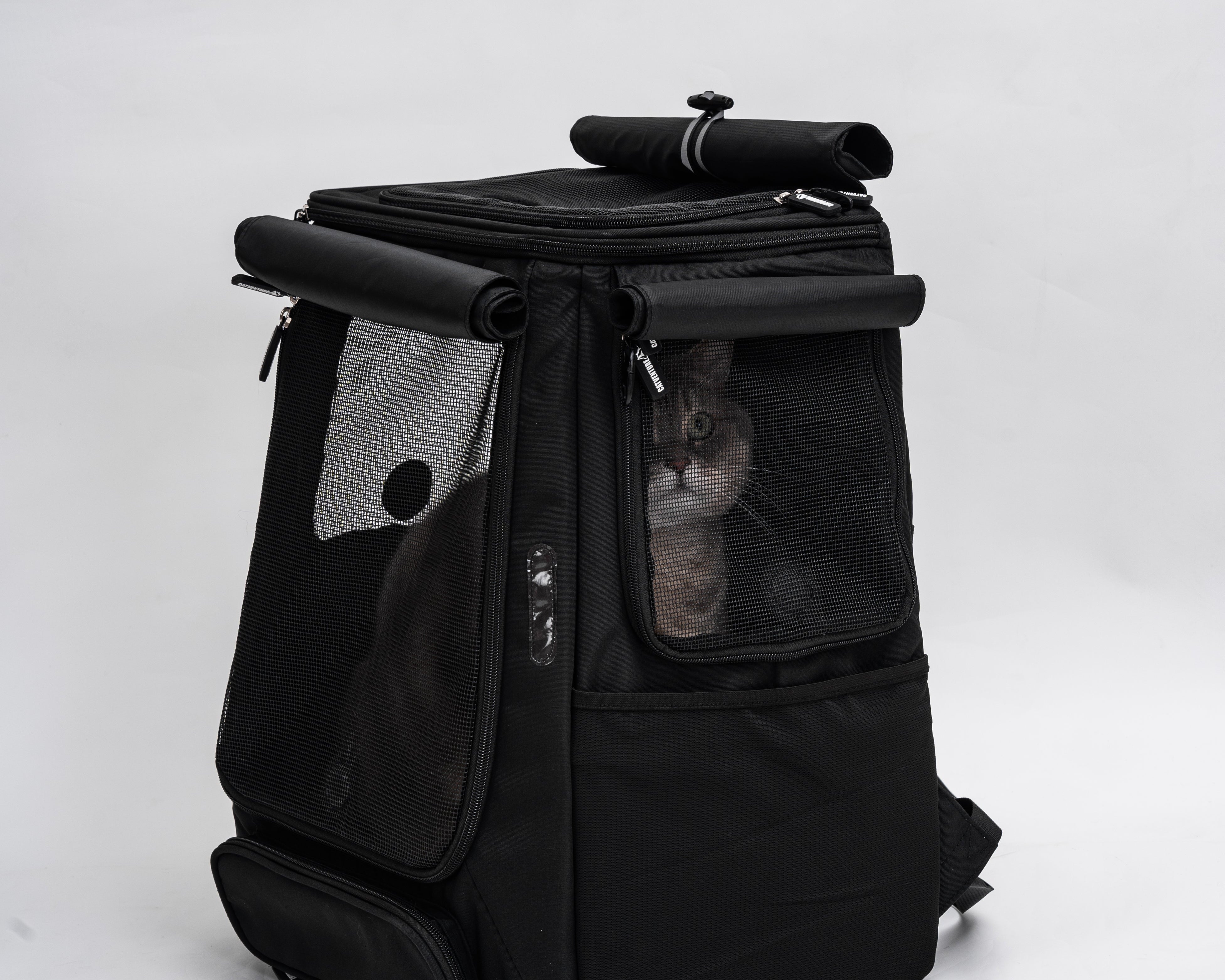 Using a Cat Backpack with a Harness: The Safest Way to Explore