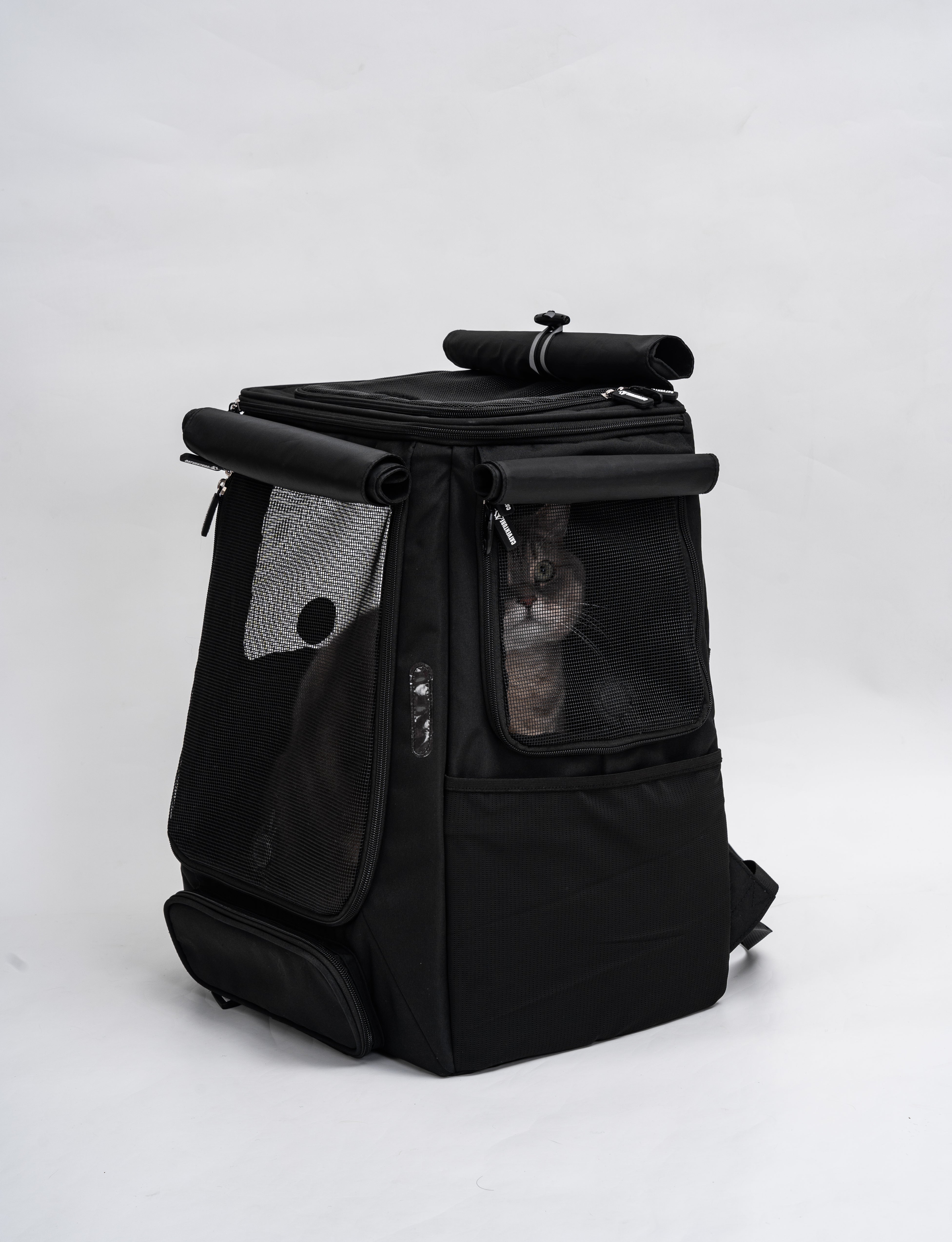 Using a Cat Backpack with a Harness: The Safest Way to Explore