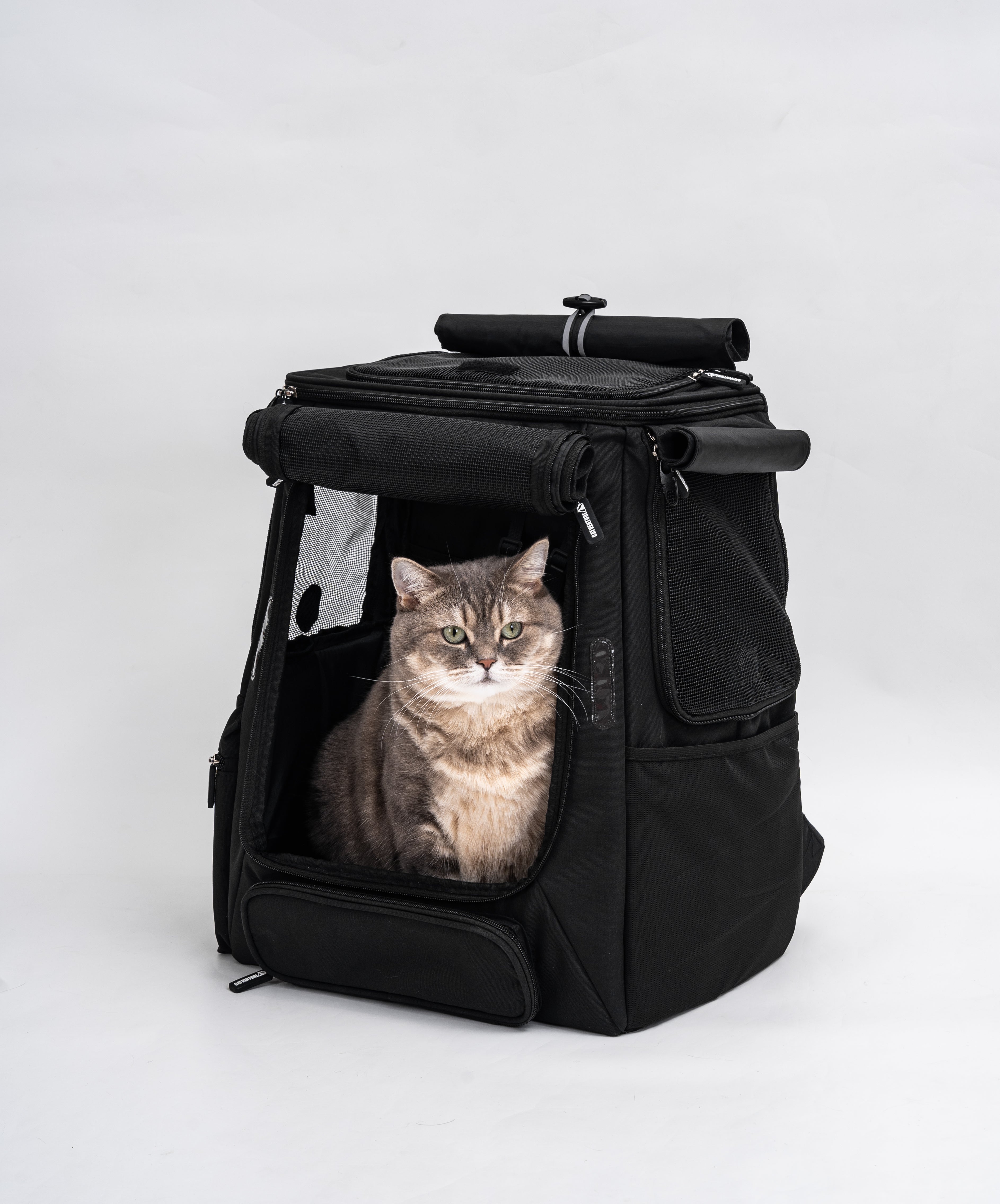 Are Cat Backpacks Cruel? A Behaviour-Led Look at the Debate – Cat ...