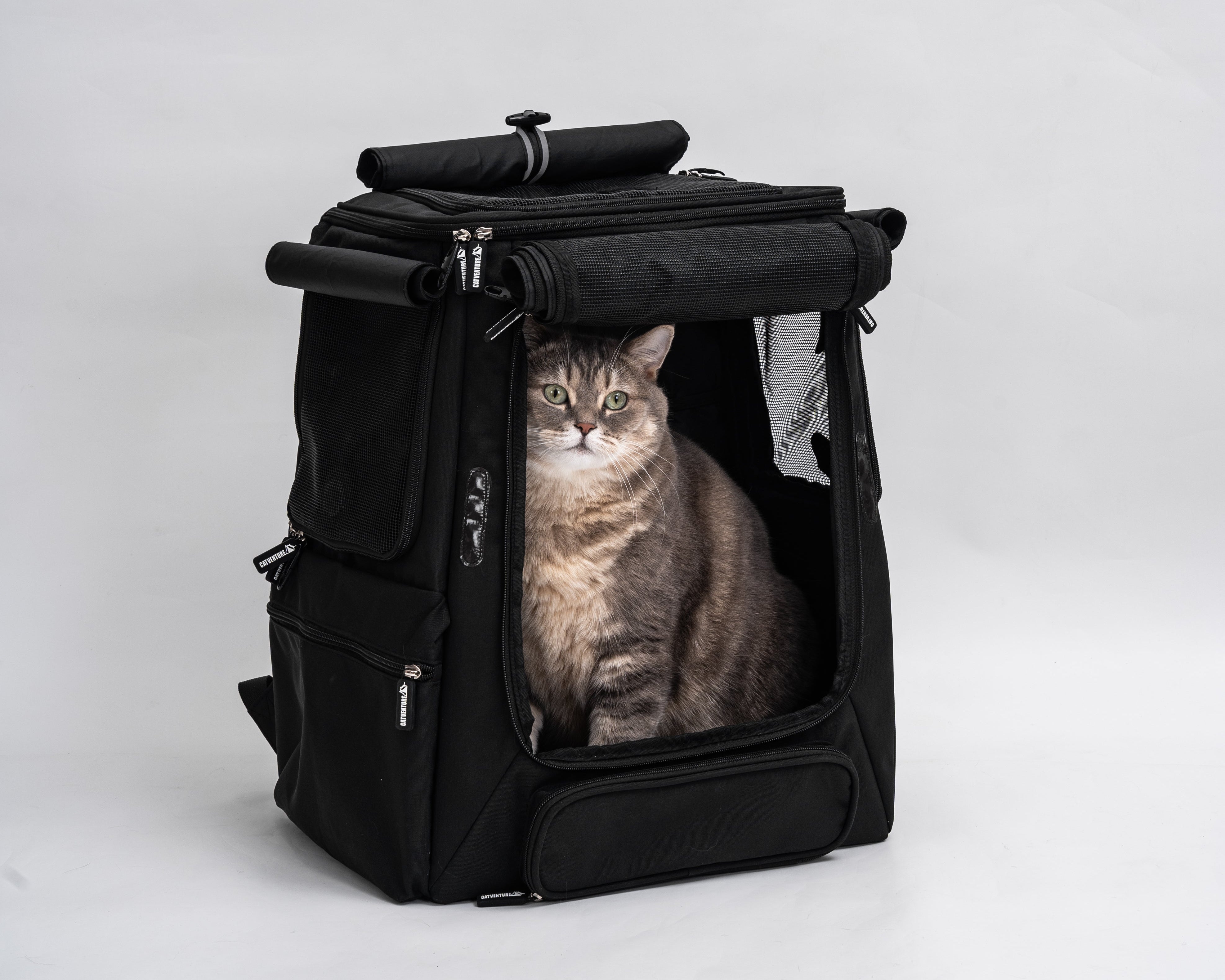 Why Cat Backpacks Exist (And Who They’re Actually For) + Use Cases
