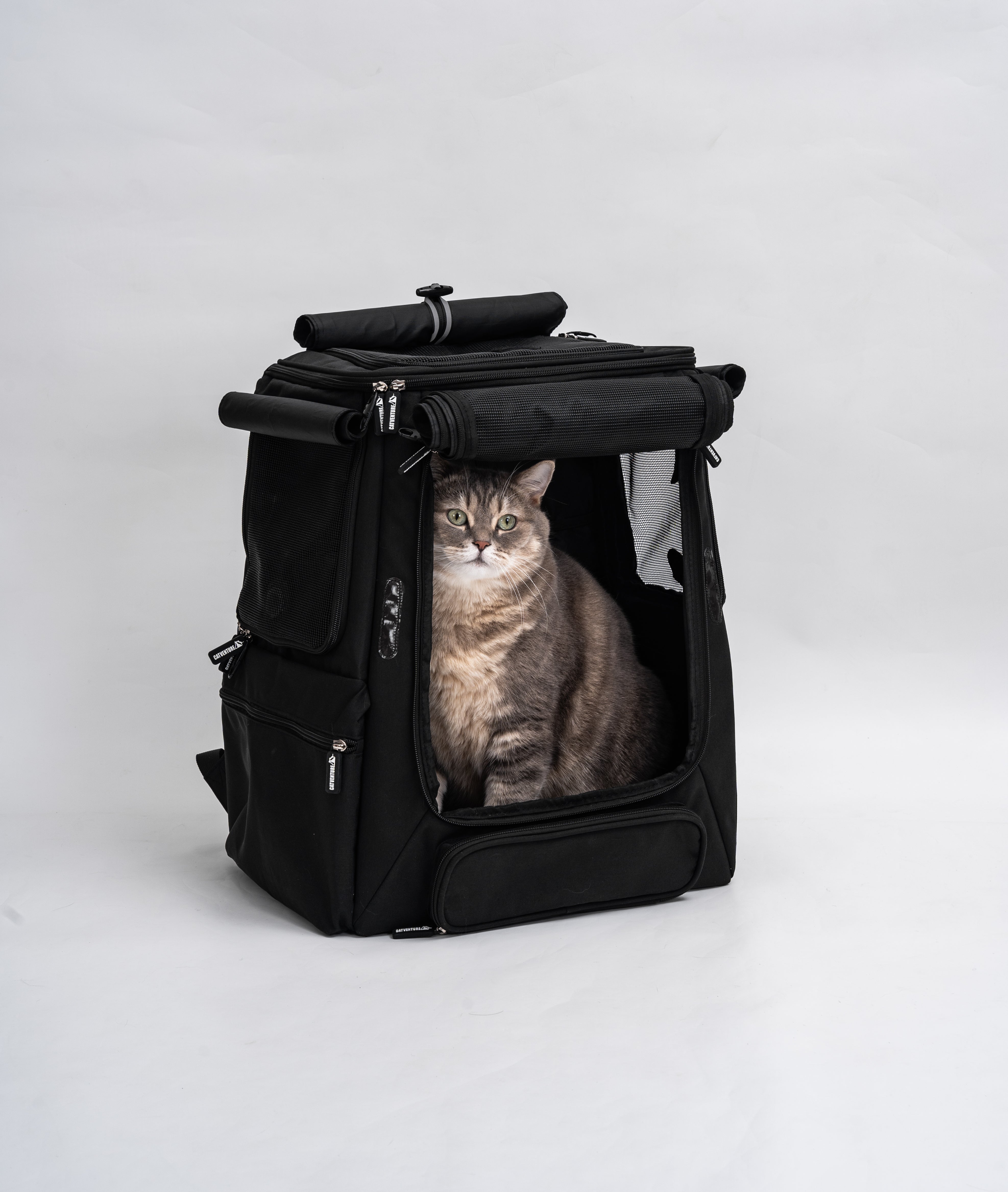 Why Cat Backpacks Exist (And Who They’re Actually For) + Use Cases