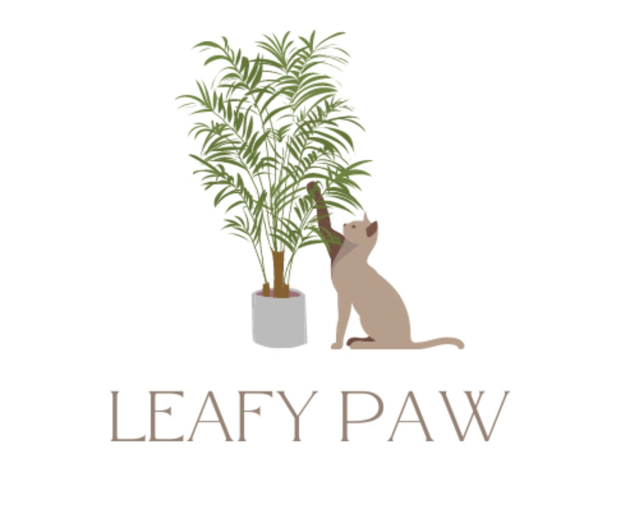 Cat Friendly Indoor Plants: A Leafy Paw Guest Blog