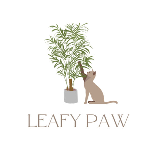 Cat Friendly Indoor Plants: A Leafy Paw Guest Blog