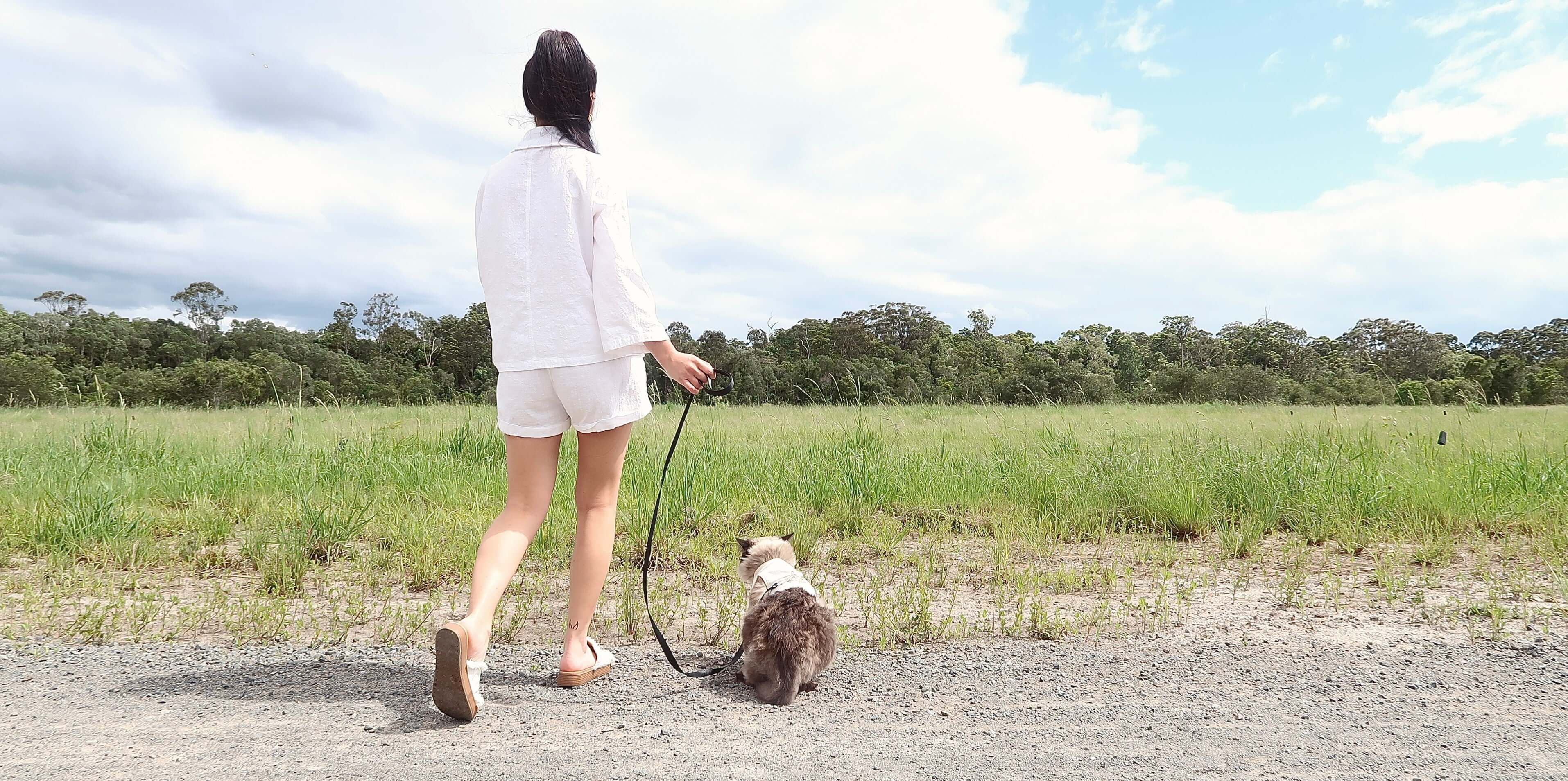 The Importance of Using a Proper Cat Harness and Leash: Prioritising Your Feline Friend's Safety and Comfort