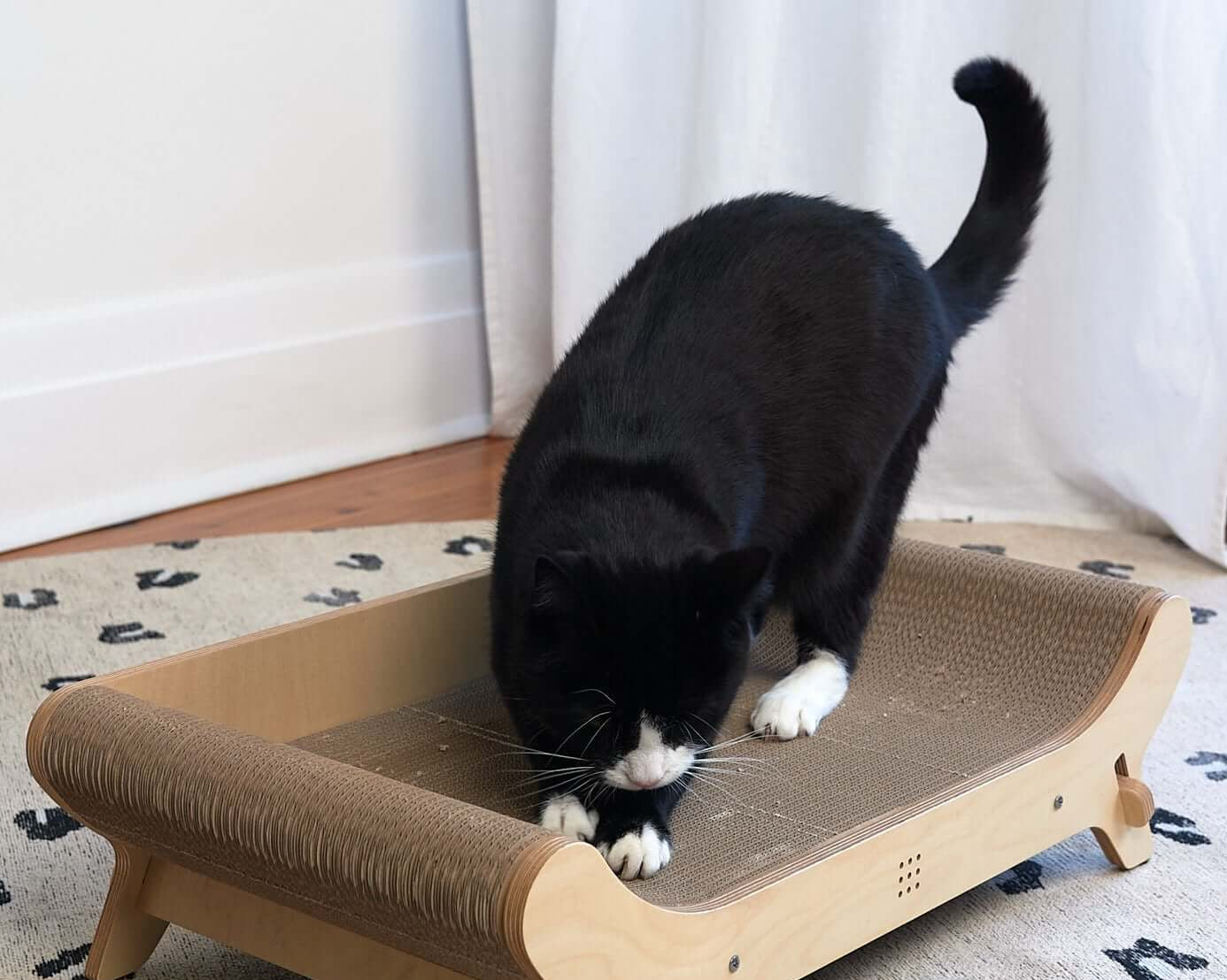cat scratcher