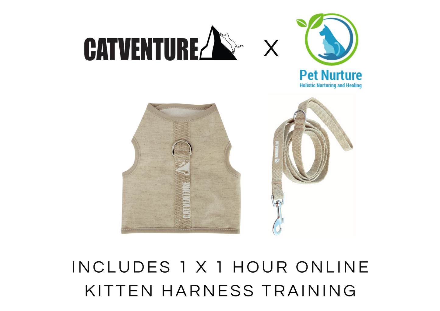 Kitten Harness Training Bundle