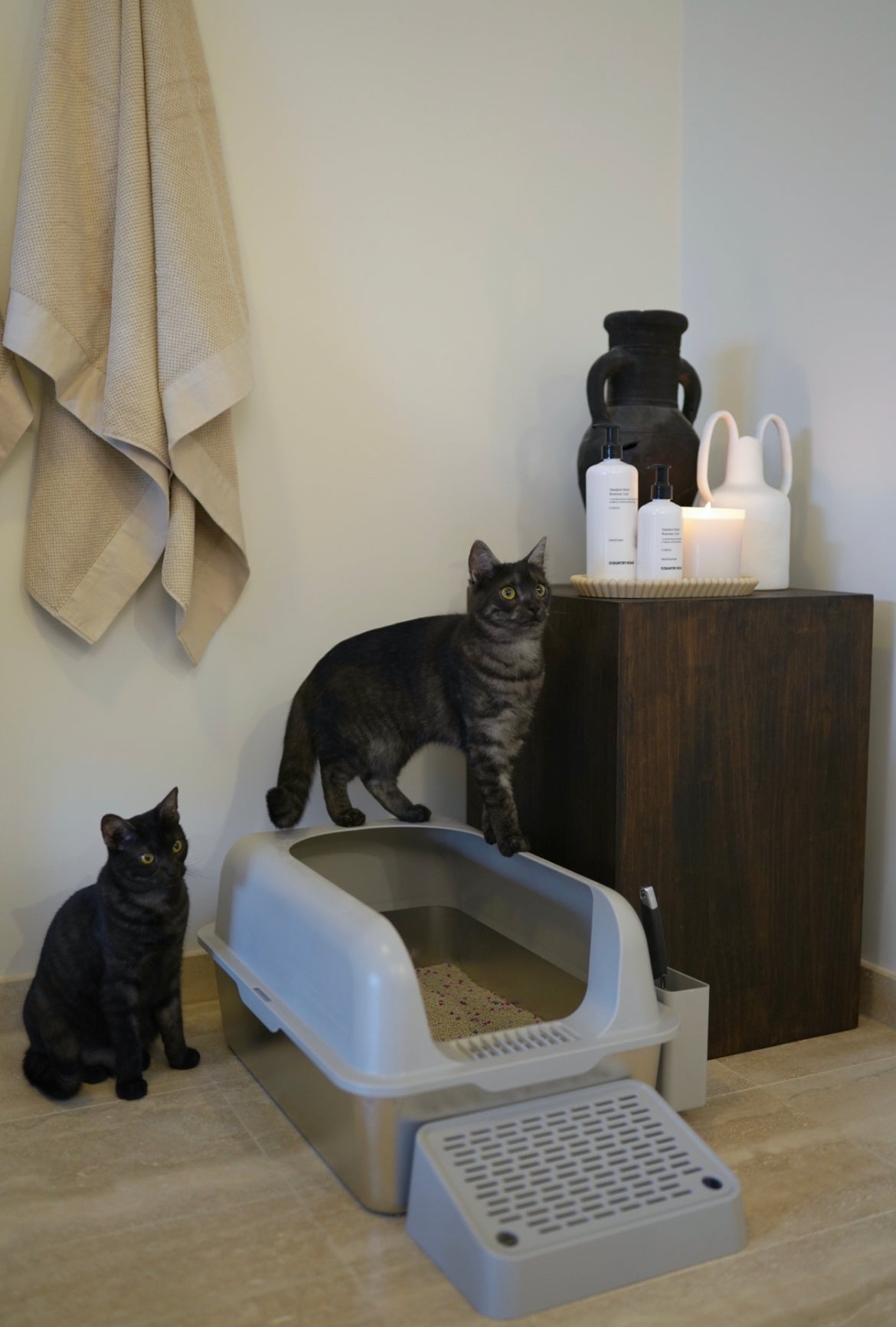 Stainless Steel Litter Box - Grey