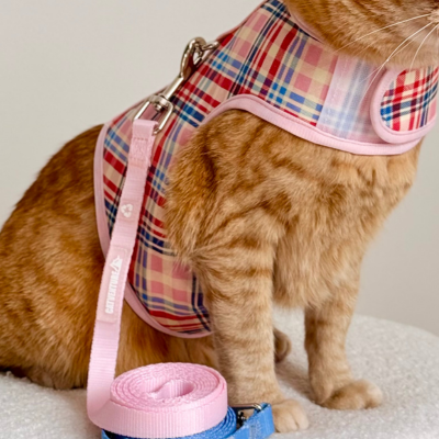 Support and Resources: 