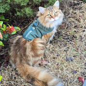 Catventure - Escape Proof Cat Harness - Green