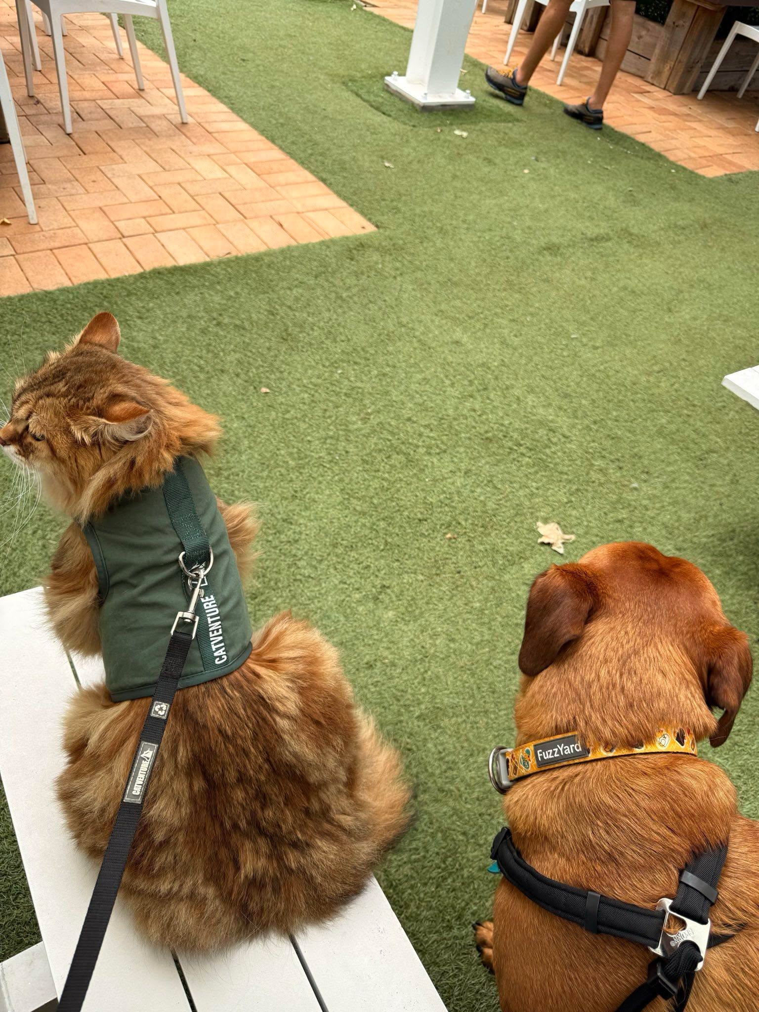 Support and Resources: 