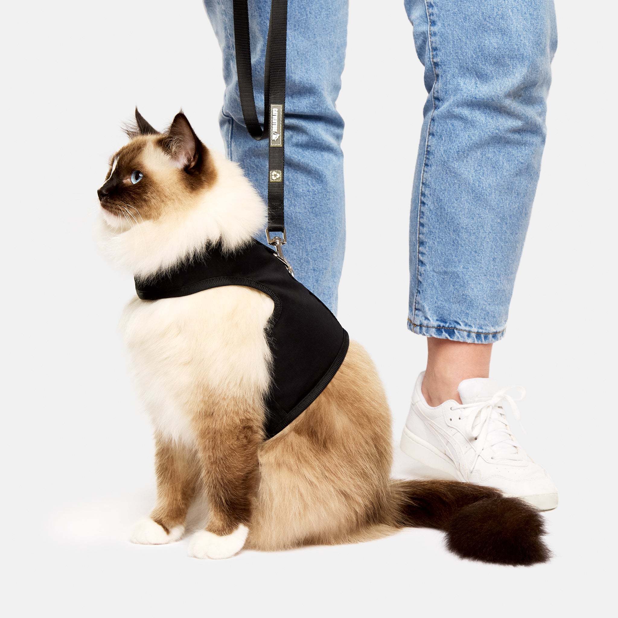 BlackHarness-BarelyThereLitter0097.jpg