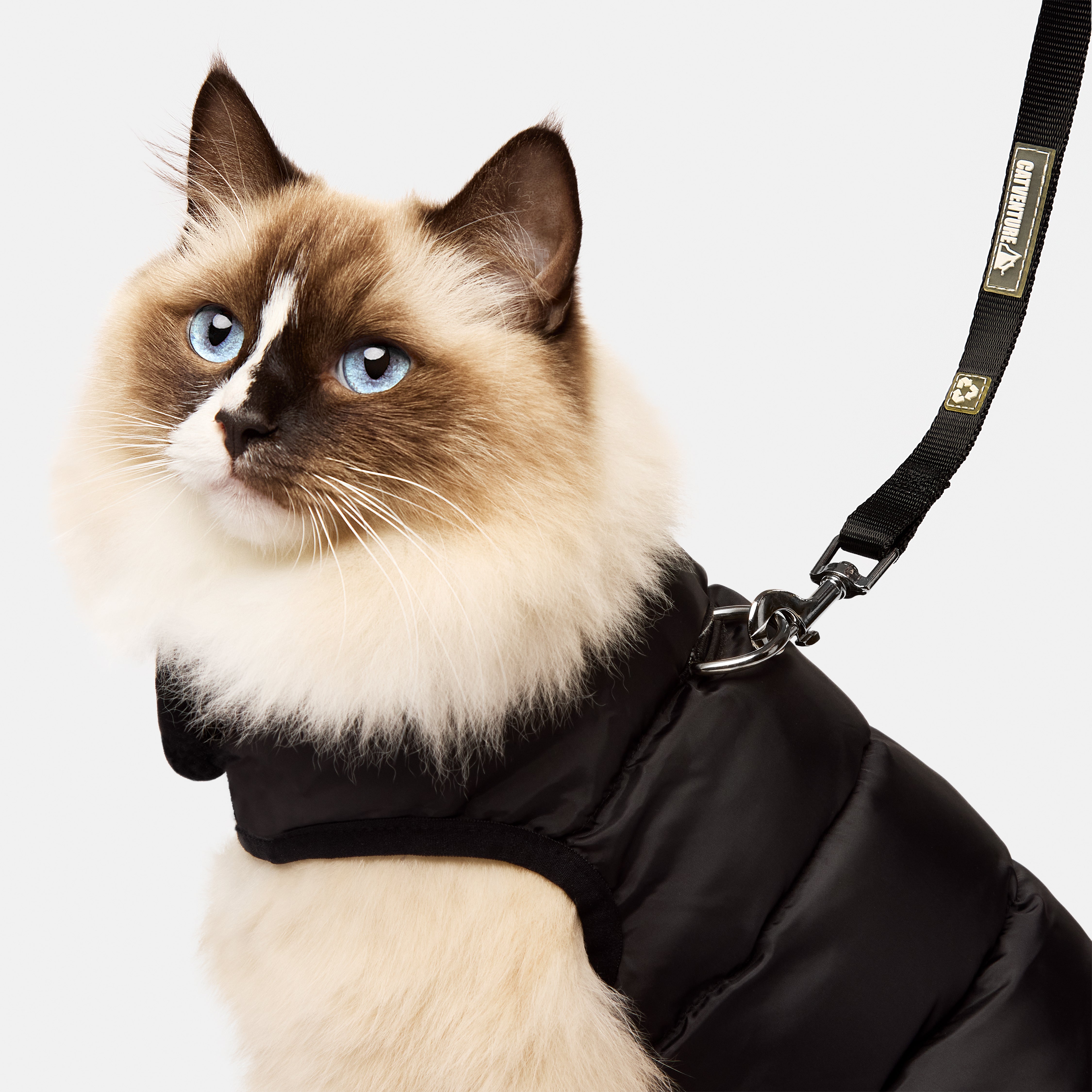 Cat jackets for cats best sale