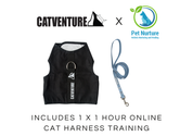 Cat Harness Training Bundle