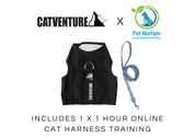 Cat Harness Training Bundle