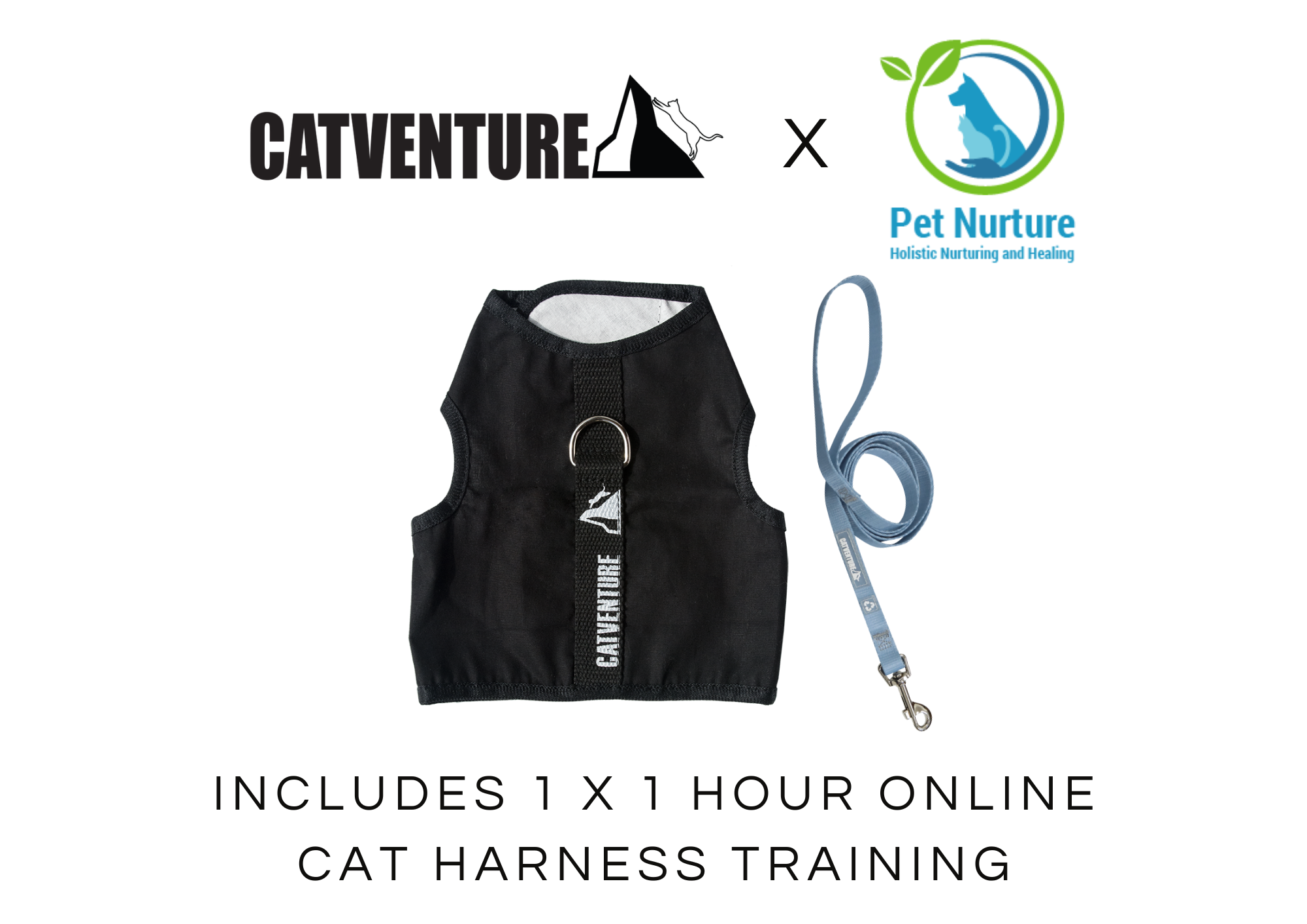 Cat Harness Training Bundle