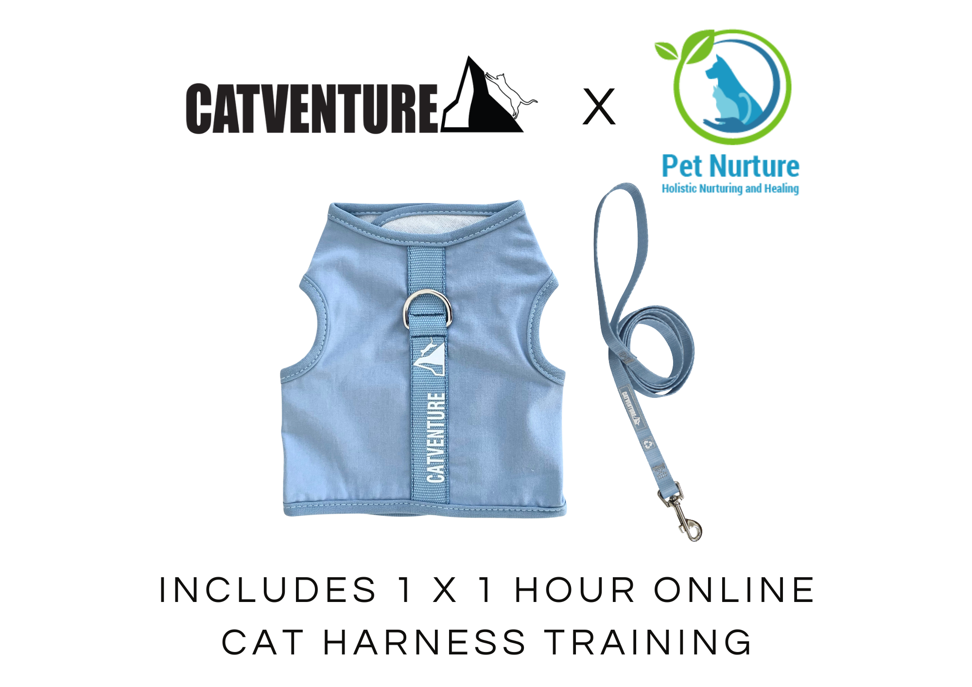 Cat Harness Training Bundle