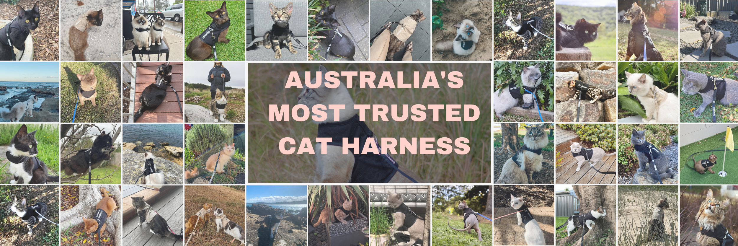 Cat Harness Australia Escape Proof Cat Harness