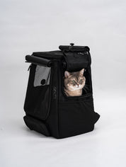 Catventure Premium Adventure Backpack
