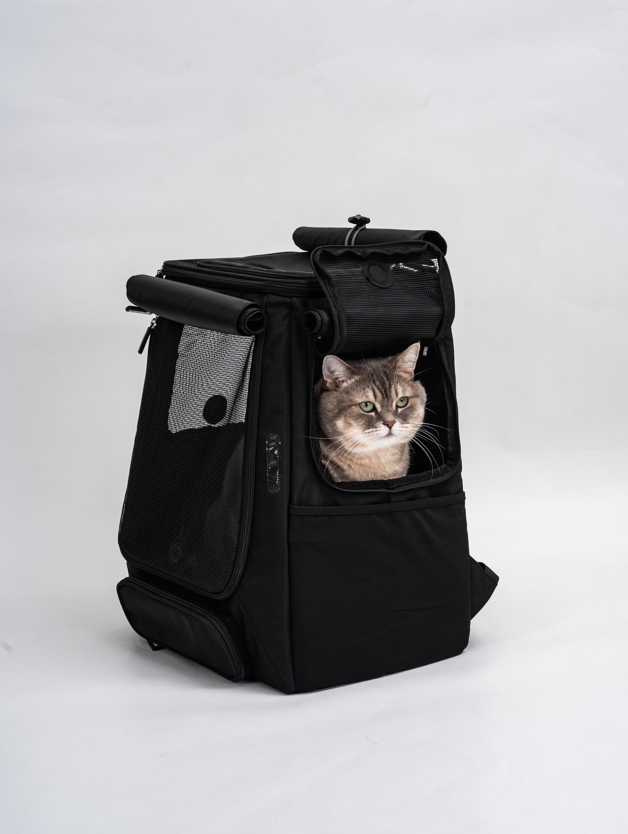 Cat Backpack Rust Catventure Premium Adventure Cat Backpack: No-Sag Large Cat Carrier for ...