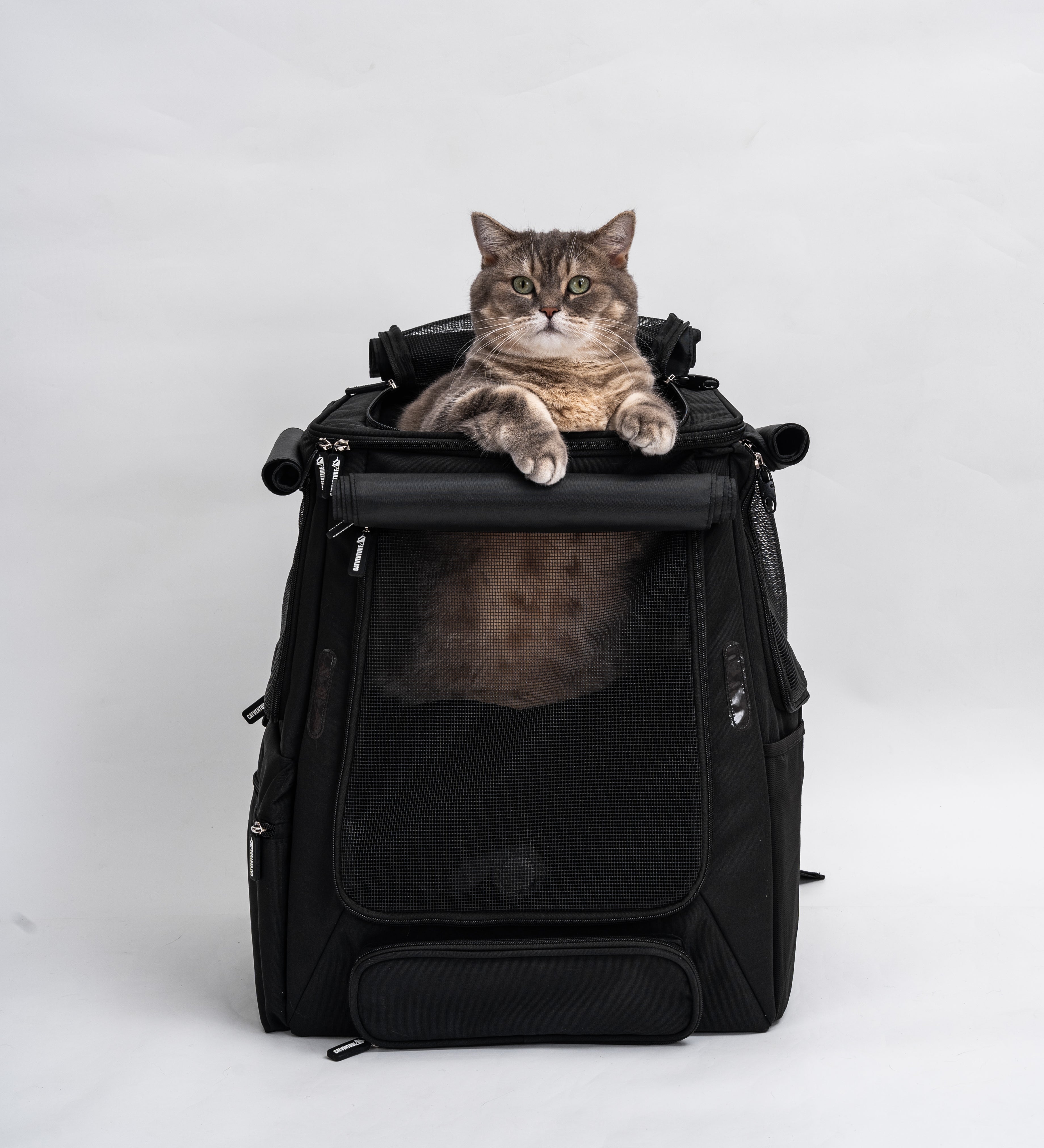 Catventure Premium Adventure Backpack