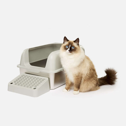 Barely There Litter - Stainless Steel Litter Box grey With grey Paw Cleaner Step - with ragdoll cat