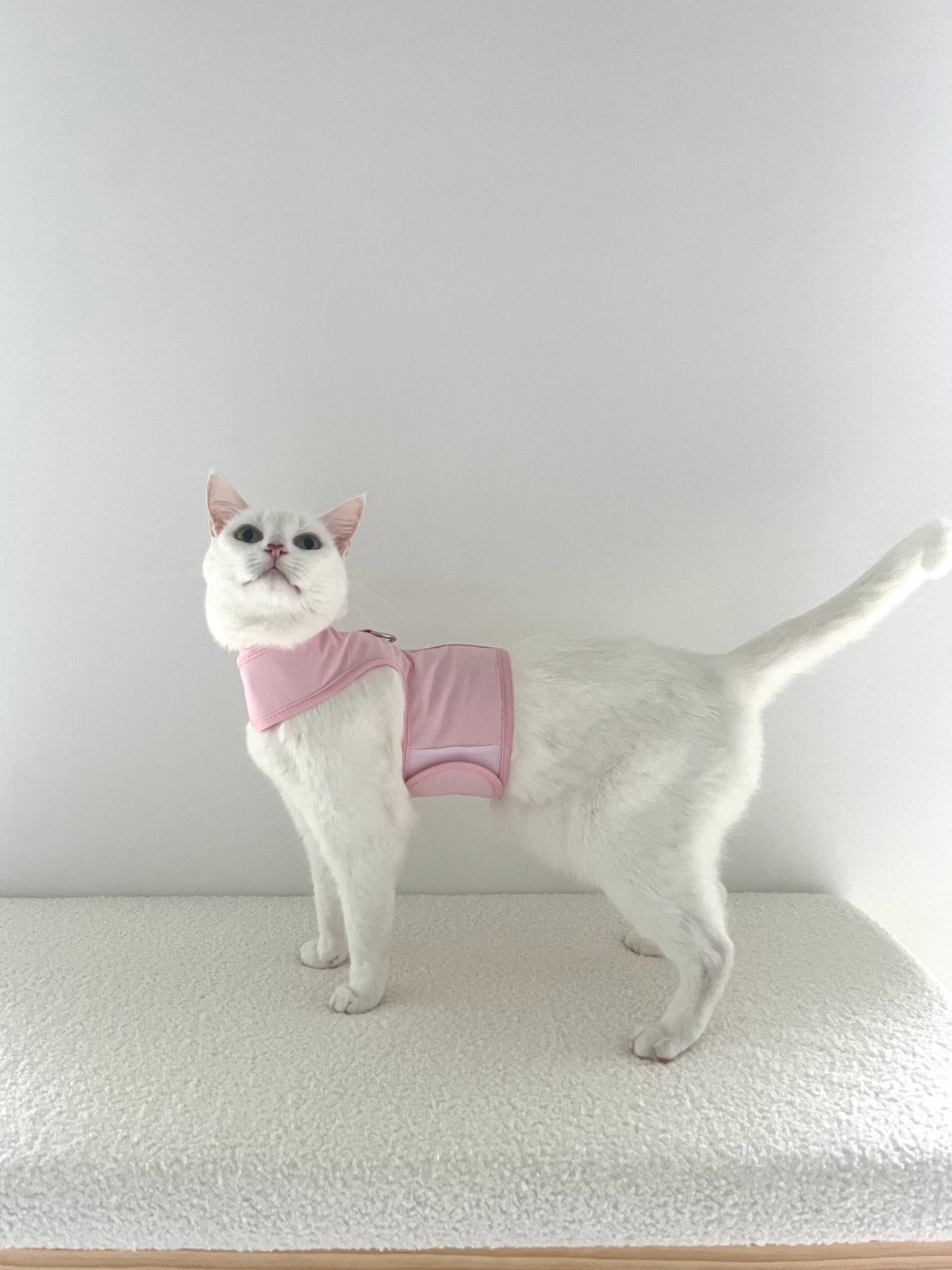 Catventure Escape Proof Cat Harness Pink