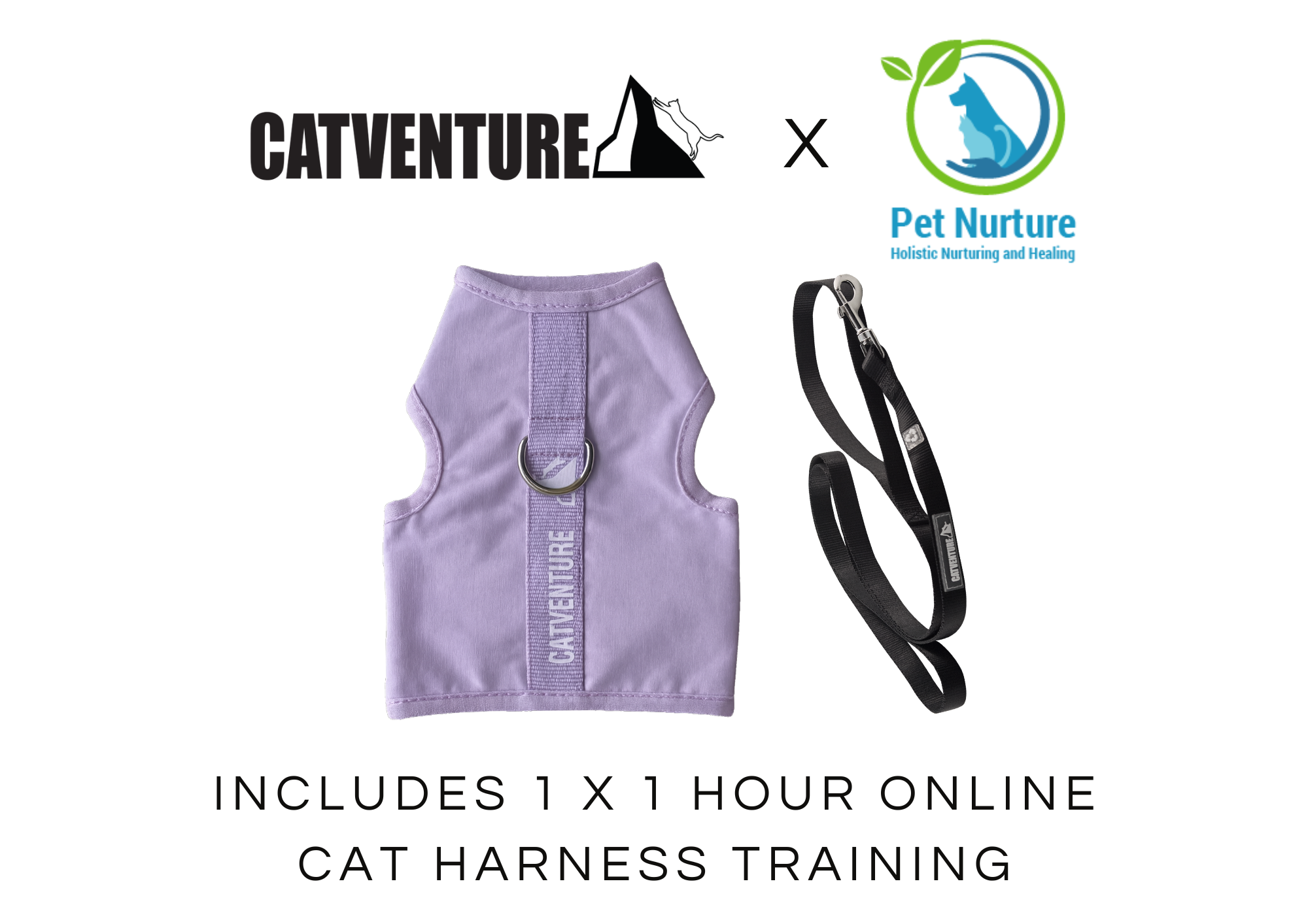 Cat Harness Training Bundle