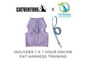Cat Harness Training Bundle