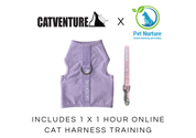 Cat Harness Training Bundle