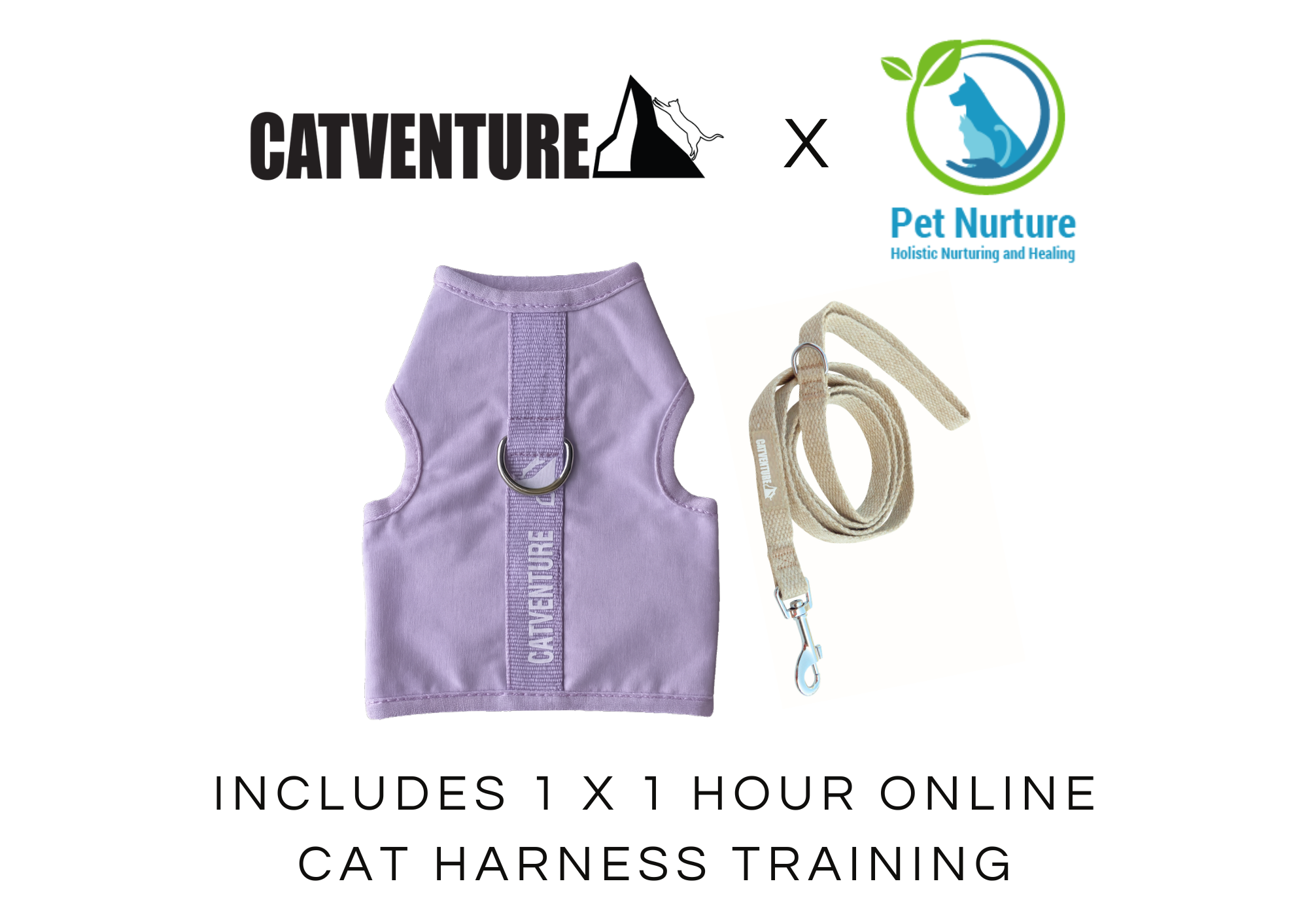 Cat Harness Training Bundle