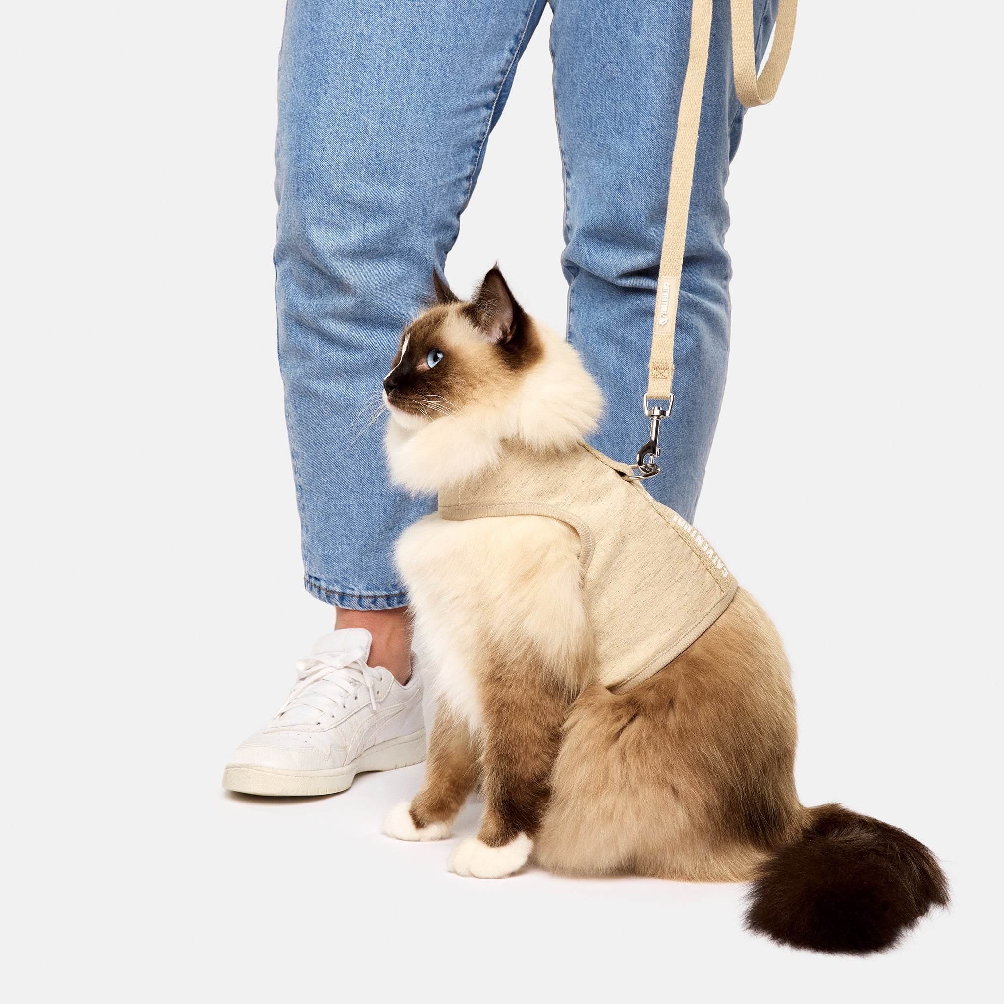 NaturalHarness-BarelyThereLitter0198.jpg