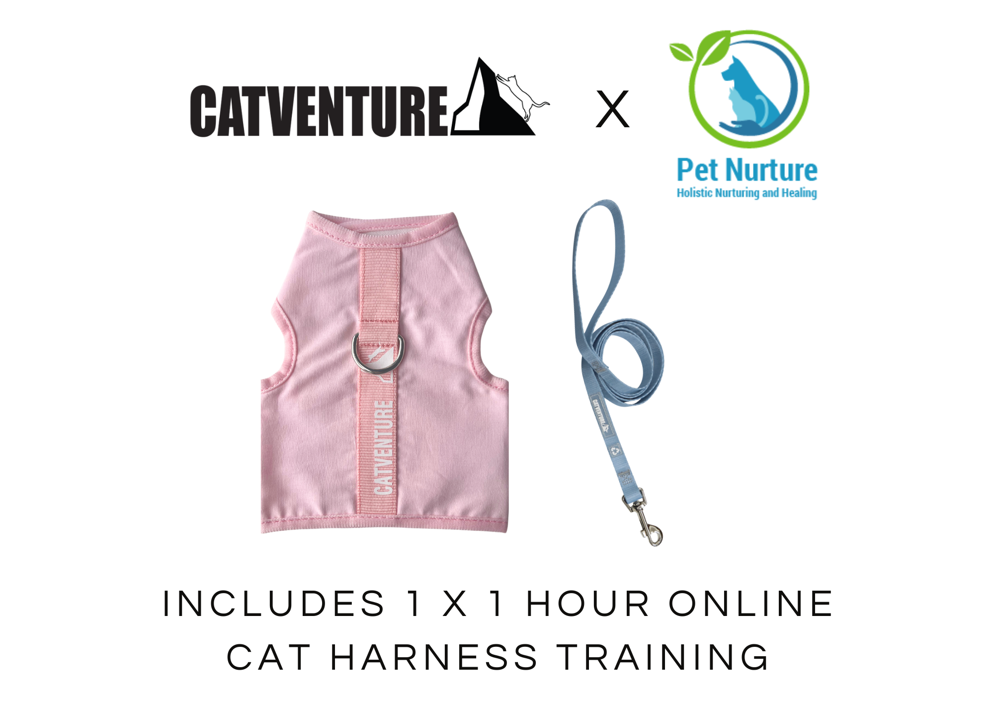 Cat Harness Training Bundle