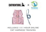 Cat Harness Training Bundle