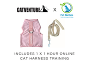 Cat Harness Training Bundle