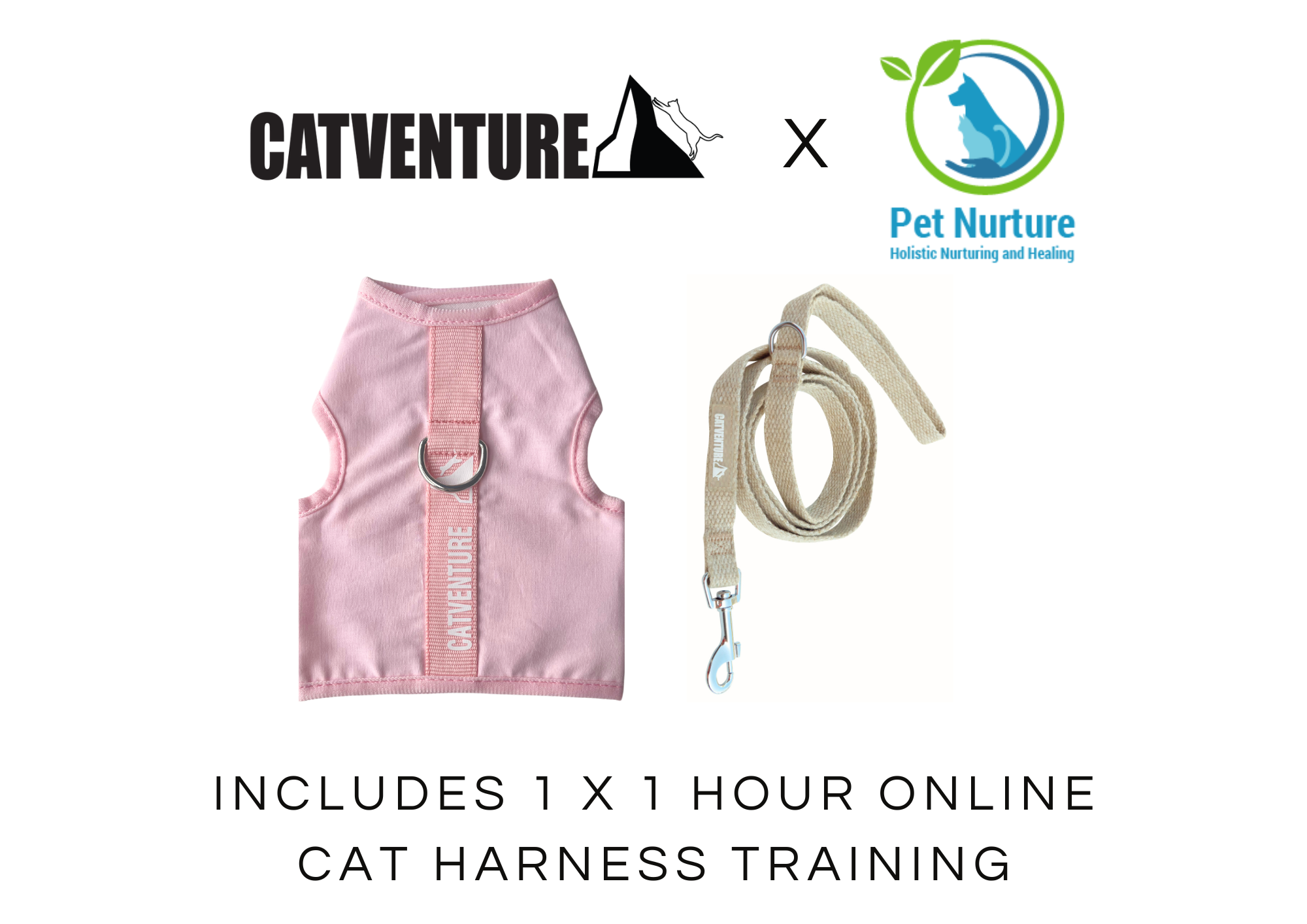 Cat Harness Training Bundle
