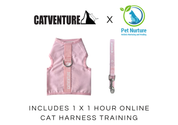Cat Harness Training Bundle