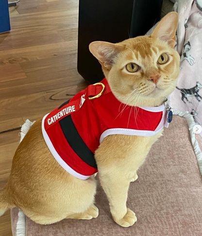 The 'Santa Claws' Christmas Catventure Escape Proof Cat Harness (Limited Edition)