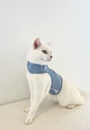 Catventure - Escape Proof Cat Harness - Balu Blue