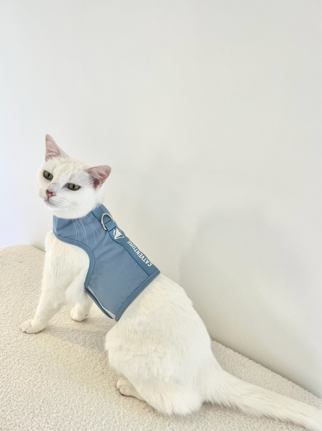 A cat harness best sale