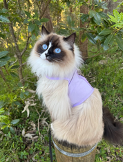 Catventure - Escape Proof Cat Harness - Lilac